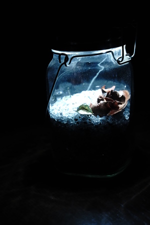 Image-preview_300x200