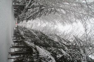 Image-preview_300x200