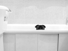 Image-rectangle_220_165