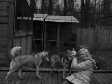 Image-rectangle_220_165