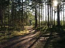 Image-rectangle_220_165