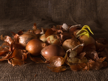 Image-rectangle_220_165