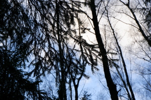 Image-preview_300x200