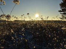 Image-rectangle_220_165