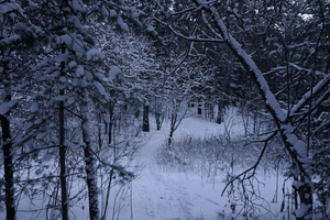 Image-preview_300x200