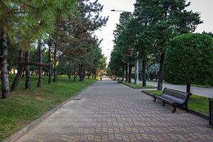 Image-preview_300x200