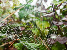 Image-rectangle_220_165