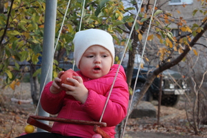 Image-preview_300x200
