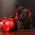 Image-square_50