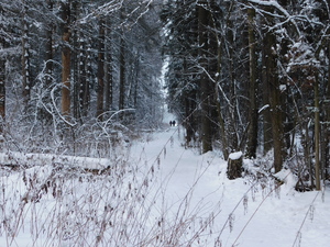 Image-preview_300x200