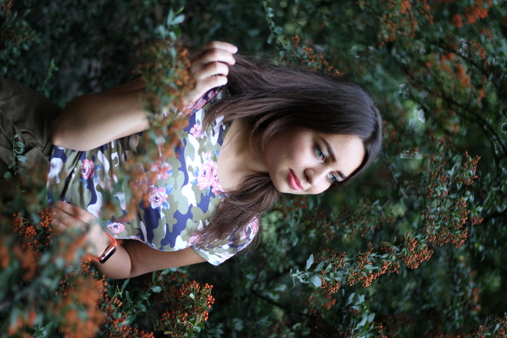 Image-normal