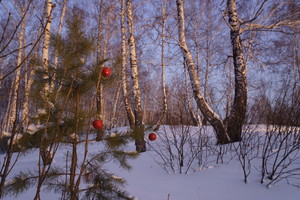 Image-preview_300x200