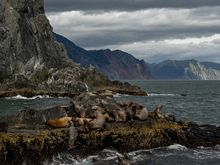 Image-rectangle_220_165