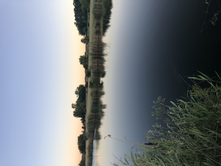 Image-normal