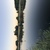 Image-square_50