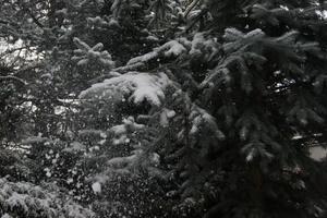 Image-preview_300x200