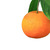 Image-square_50