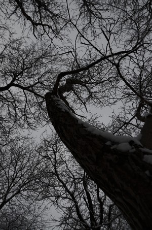 Image-preview_300x200