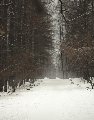 Image-preview_300x200