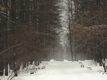 Image-rectangle_220_165