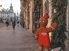 Image-rectangle_220_165