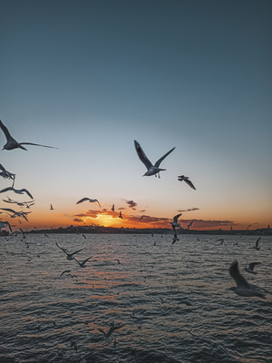 Image-preview_300x200
