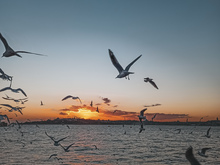 Image-rectangle_220_165