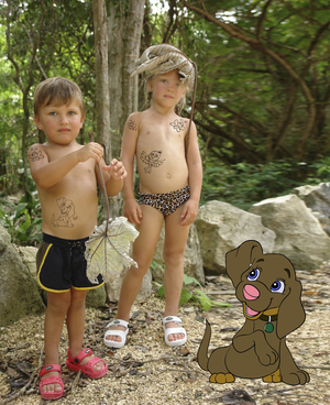 Image-preview_300x200