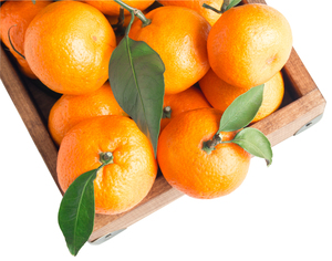 Image-preview_300x200