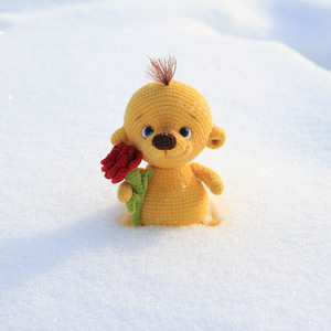 Image-preview_300x200