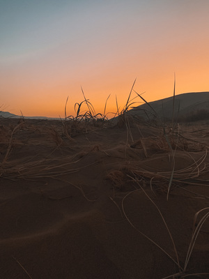 Image-preview_300x200