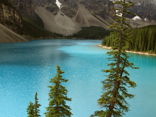 Image-rectangle_220_165