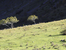 Image-rectangle_220_165