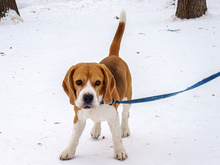 Image-rectangle_220_165
