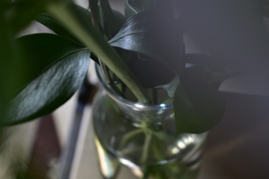 Image-preview_300x200