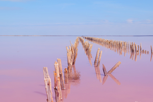 Image-preview_300x200