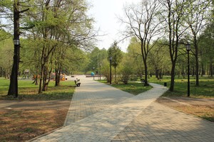 Image-preview_300x200