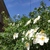 Image-square_50