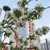 Image-square_50