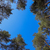 Image-square_50