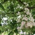Image-square_50