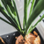 Image-square_50