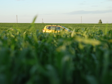 Image-rectangle_220_165