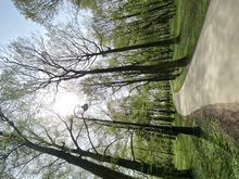 Image-rectangle_220_165