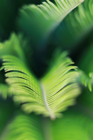 Image-preview_300x200