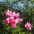 Image-square_50