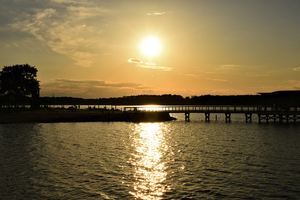 Image-preview_300x200