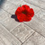 Image-square_50