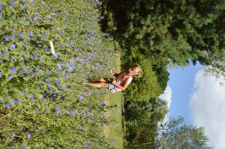 Image-normal