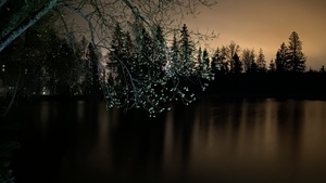 Image-preview_300x200